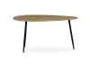 AF-3012 OAK, konferenční stolek 100x60cm, černá / dub divoký