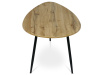 AF-3012 OAK, konferenční stolek 100x60cm, černá / dub divoký