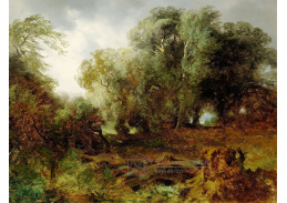 DDSO-422 Alexandre Calame - Stromy v bouřlivém počasí