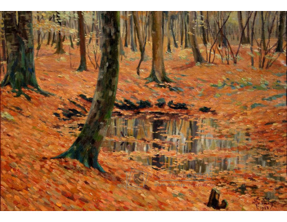 SO V-184 Georges Emile Lebacq - Rybník v lese Halatte