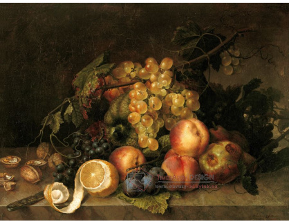 SO XI-484 Francesco Lacoma i Fontanet - Zátiší s ovocem