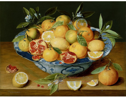 SO XII-207 Jacob van Hulsdonck - Zátiší s pomeranči