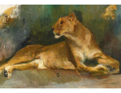 SO XIII-230 Géza Vastagh - Odpočívající lvice