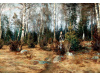 SO XIV-349 Johan Krouthén - Žena v jarní krajině