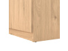 SIMPLICITY 210, botník 4-dveřový se zásuvkou, jackson hickory / černá