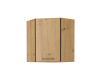 MONROVIA, horní skříňka rohová 60/60 GN-72 1F, dub artisan