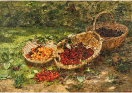 A-7563 Lina Röhrer - Bohatá úroda třešní