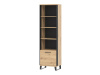 LOFT LT08, regál 1-dveřový, dub artisan / černá