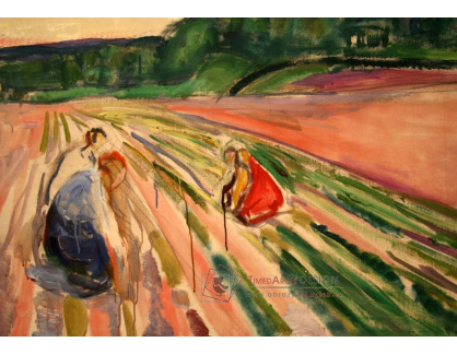 VEM13-47 Edvard Munch - Rolníci