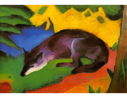 VFM 43 Franz Marc - Černá liška