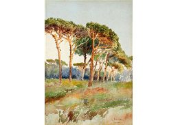 KO V-189 Pietro Barucci - Stromy v Villa Borghese
