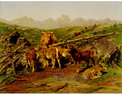 A-1832 Rosa Bonheur - Odstav telat