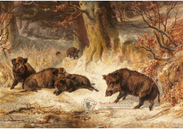 D-9565 Ludwig Voltz - Divočáci na okraji lesa