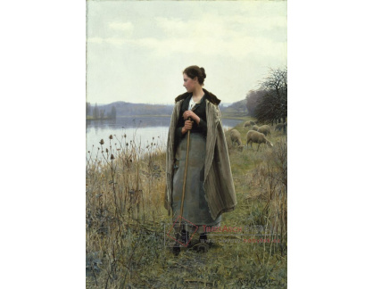 XV-368 Daniel Ridgway Knight - Pastýřka u Rolleboise