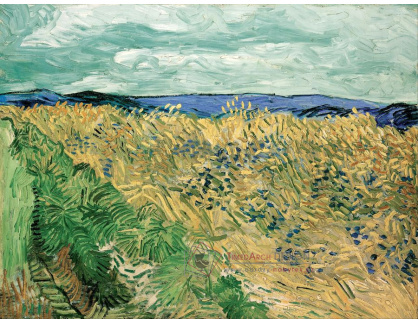 VR2-500 Vincent van Gogh - Pšeničné pole s chrpami