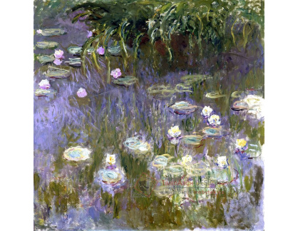 VCM 137 Claude Monet - Lekníny