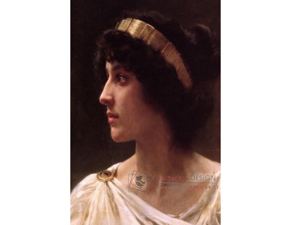 R15-66 Adolph William Bouguereau - Irene