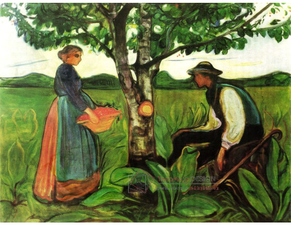 VEM13-120 Edvard Munch - Plodnost