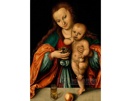 VlCR-135 Lucas Cranach - Madonna s dítětem