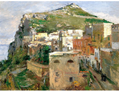 VU181 Theodore Robinson - Capri