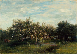 DDSO-2165 Charles-Francois Daubigny - Květoucí jabloně