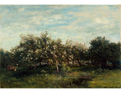 DDSO-2165 Charles-Francois Daubigny - Květoucí jabloně