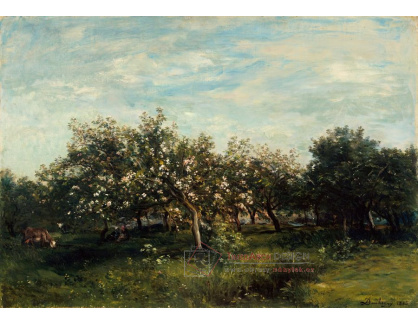 DDSO-2165 Charles-Francois Daubigny - Květoucí jabloně
