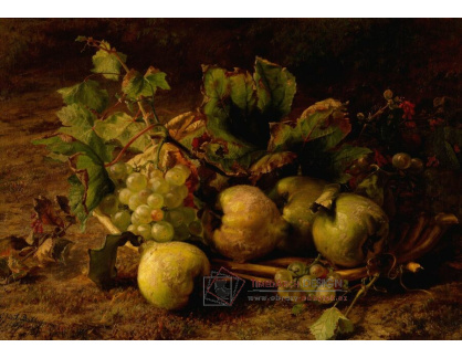 A-7394 Gerardina Bakhuyzen - Podzimní ovoce