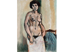 A-8559 Henri Matisse - Ženský akt