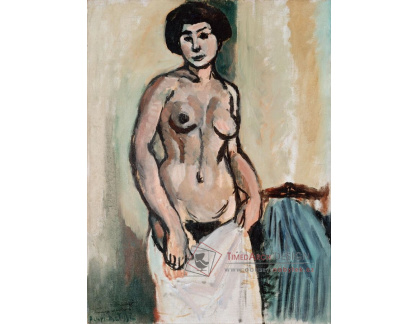 A-8559 Henri Matisse - Ženský akt