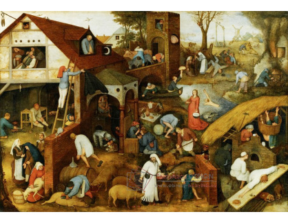 DDSO-4155 Pieter Brueghel - Vlámská přísloví