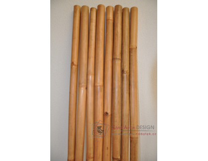 Bambusová tyč 3- 4 cm, délka 2 metry - lakovaná medová