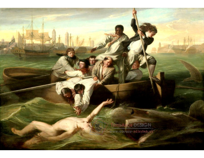 SO IX 408 John Singleton Copley - Watson a žralok