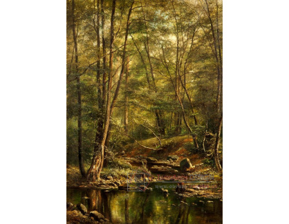 VCM 418 Alois Kirnig - Lesní rybník