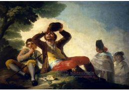 SO VI-245 Francisco de Goya - Pijan