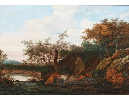 D-5904 Jacob van Ruysdael - Lesní krajina s dobytkem