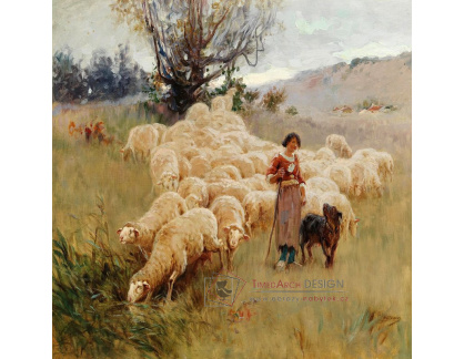D-9773-1 Alfred Plauzeau - Stádo ovcí