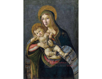 A-81 Sandro Botticelli - Madona s dítětem s trnovou korunou