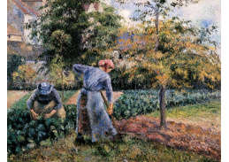 VCP-405 Camille Pissarro - V zeleninové zahradě v Pontoise