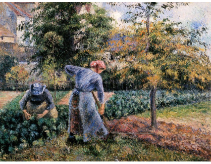 VCP-405 Camille Pissarro - V zeleninové zahradě v Pontoise