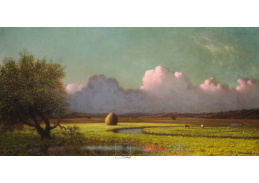 A-1258 Martin Johnson Heade - Sluneční světlo a stín