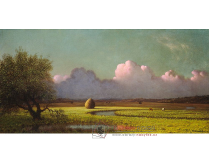 A-1258 Martin Johnson Heade - Sluneční světlo a stín