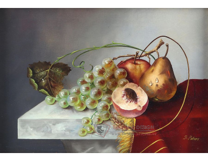 DDSO-4632 Jan Peters - Zátiší s ovocem