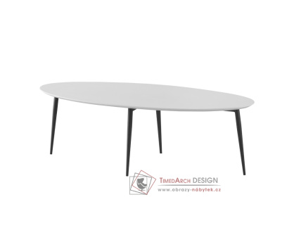 SANAM, konferenční stolek 120x50cm, černá / bílá
