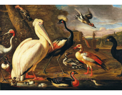 D-8883 Melchior de Hondecoeter - Pelikán a další ptáci u vody