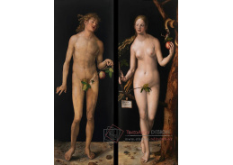VR12-40 Albrecht Dürer - Adam a Eva