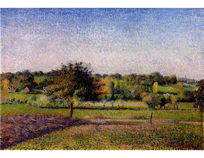 VCP-178 Camille Pissarro - Louka u Eragny