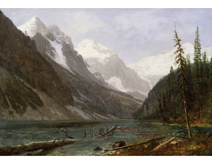 DDSO-2117 Albert Bierstadt - Kanadské hory