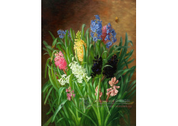 XV-100 Alfrida Baadsgaard - Květinové zátiší hyacinty