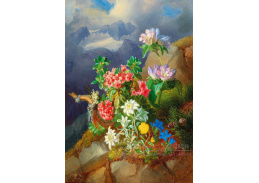 DDSO-4368 Andreas Lach - Alpské květiny